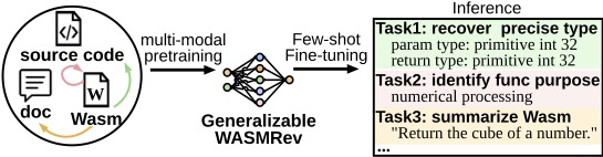 WasmRev_overview